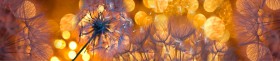 Кухонный фартук Мерцание Одуванчики золотистые 3 серебро в Уфе - ufa.katalogmebeli.com | фото